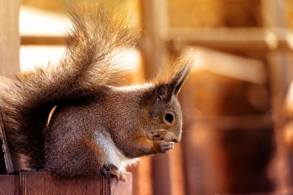 Photograph by Максим Ниязов