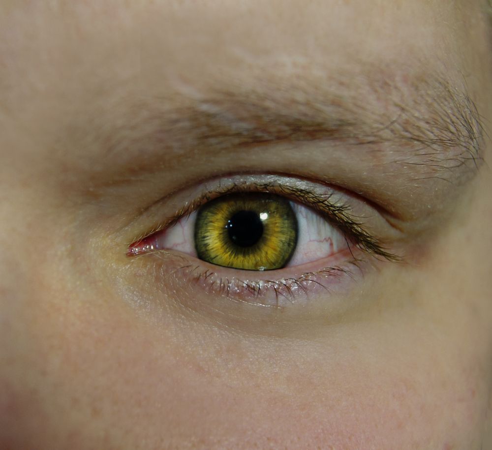 Photograph by Светлана Лехмус