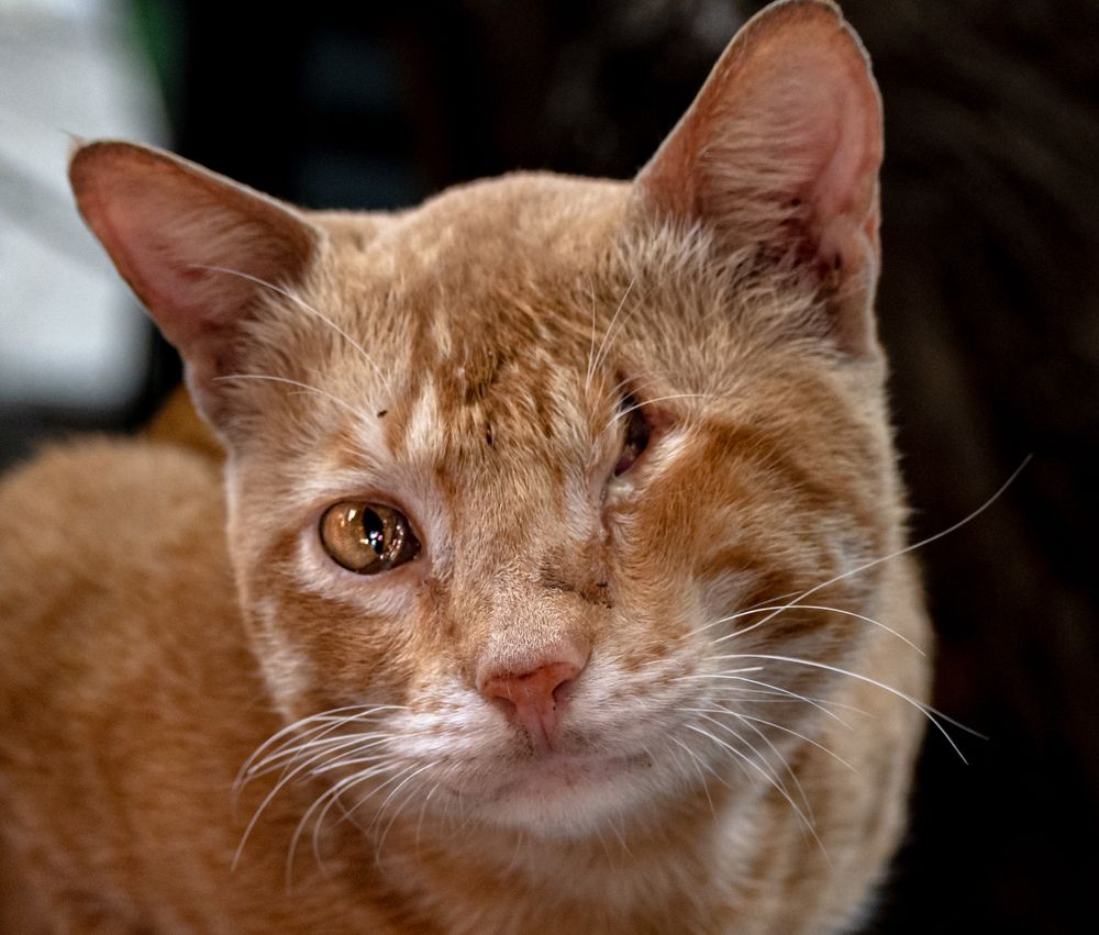 Photograph by SACHIN GHAI