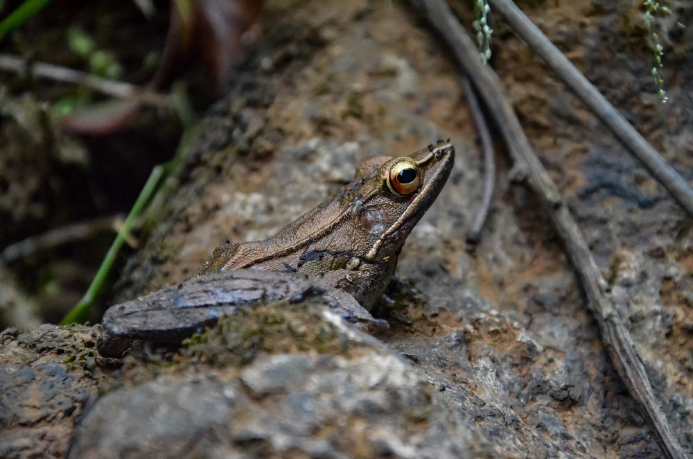 Photograph by Sachin Kamble