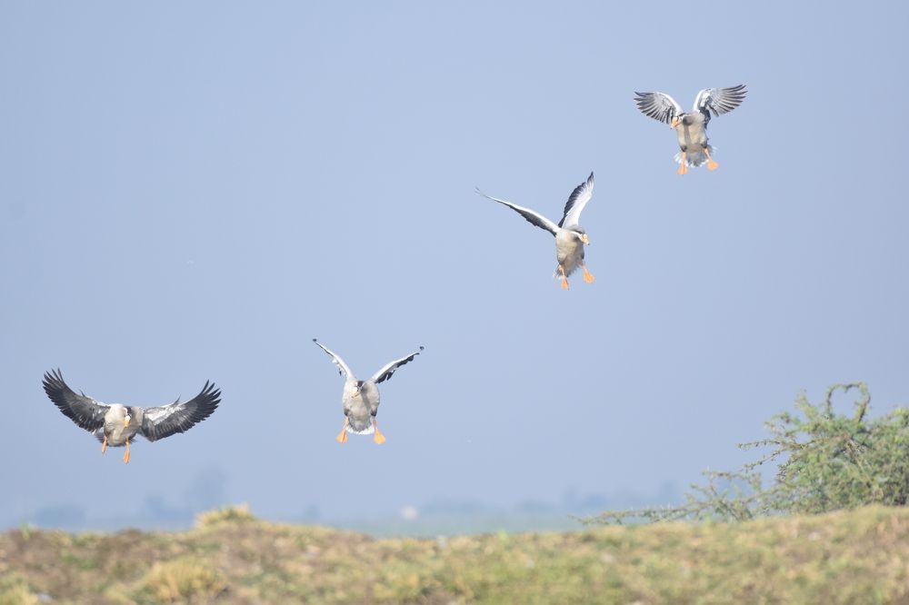 Landing !!
