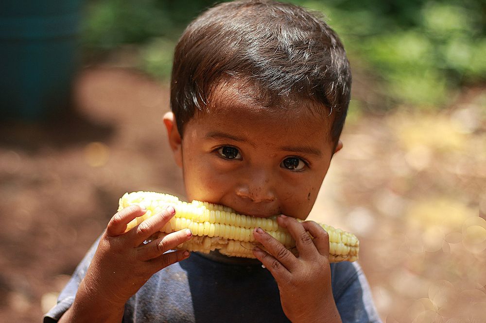 Sabores de mi Tierra