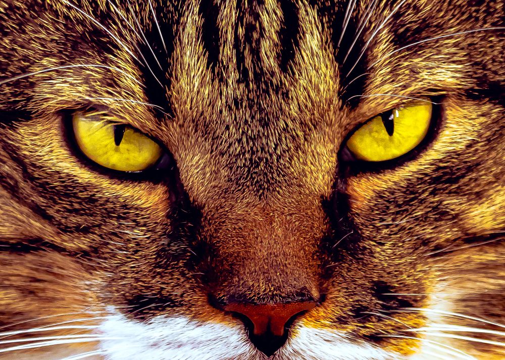 Photograph by Антон Парфентьев