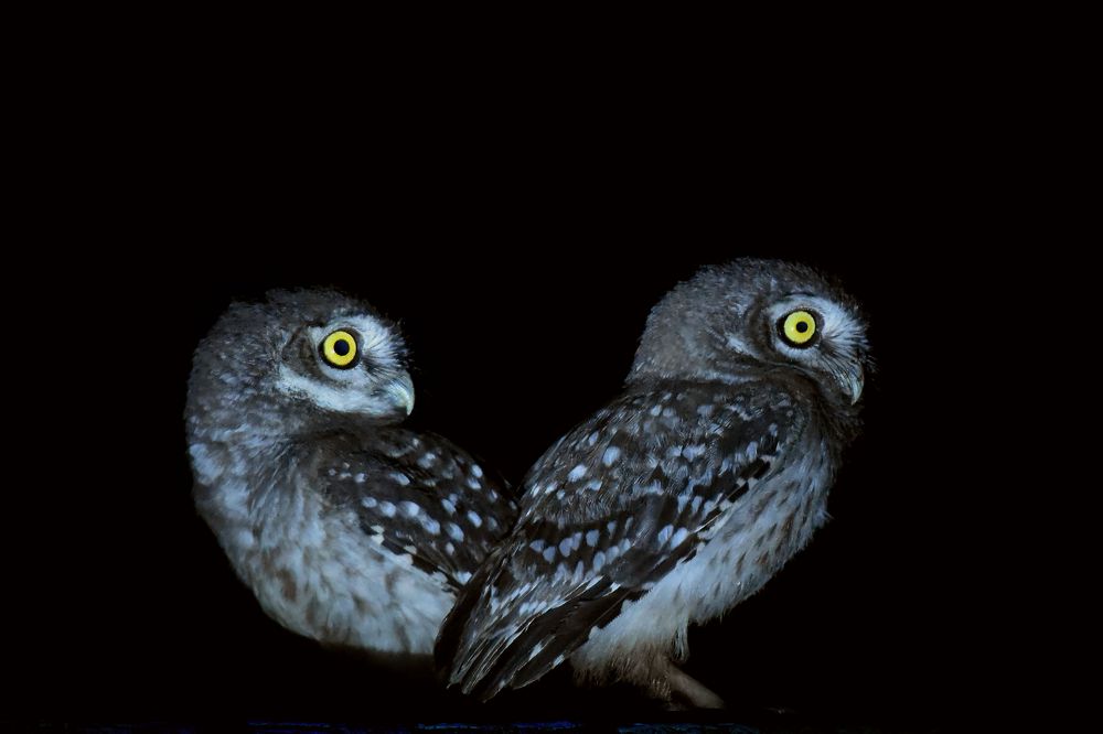 Фотография автора Sourav Mookherjee