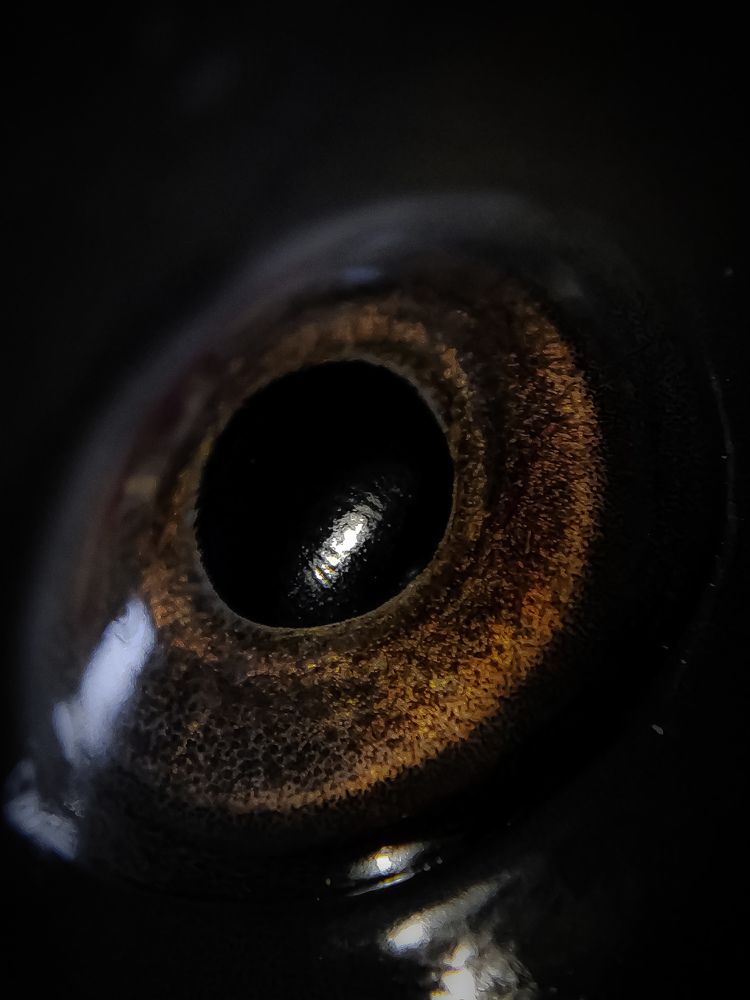 Последний взгляд