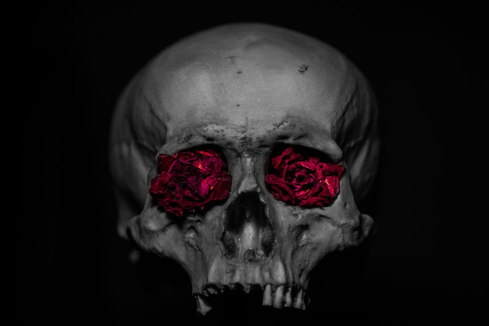 Фотография автора Дмитрий Вербицкий