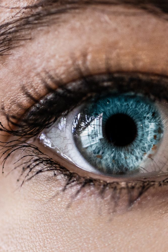 Photograph by Konstantin Morozov