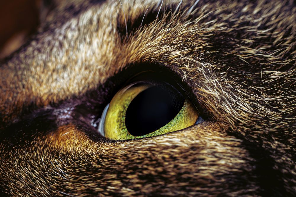 Photograph by Антон Парфентьев