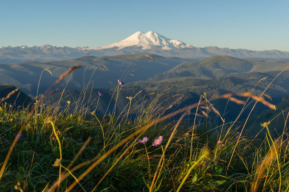 Фотография автора Дмитрий Вербицкий