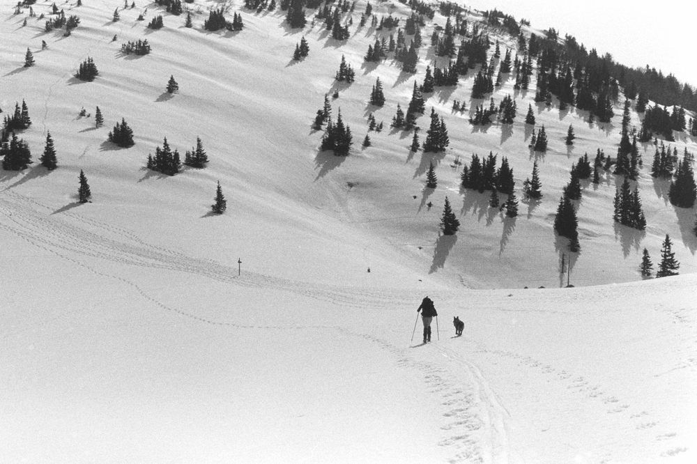 Photograph by Damir Gržin