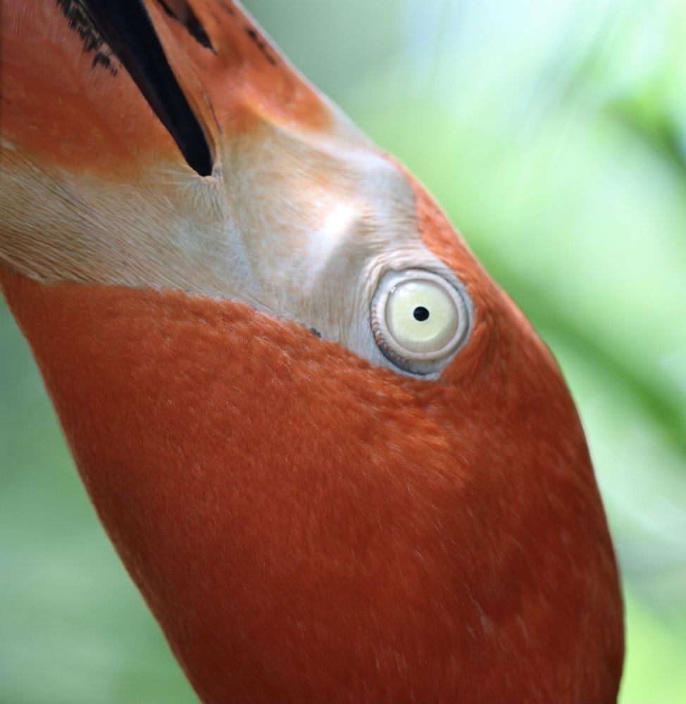 Photograph by Маргарита Венсил.