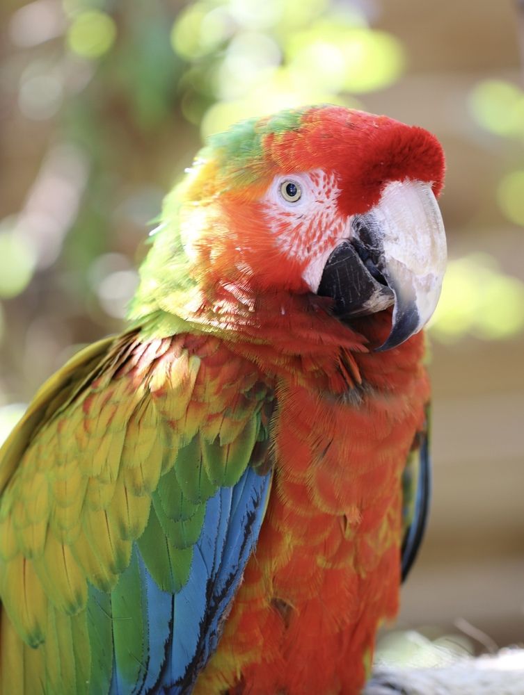 Photograph by Маргарита Венсил.