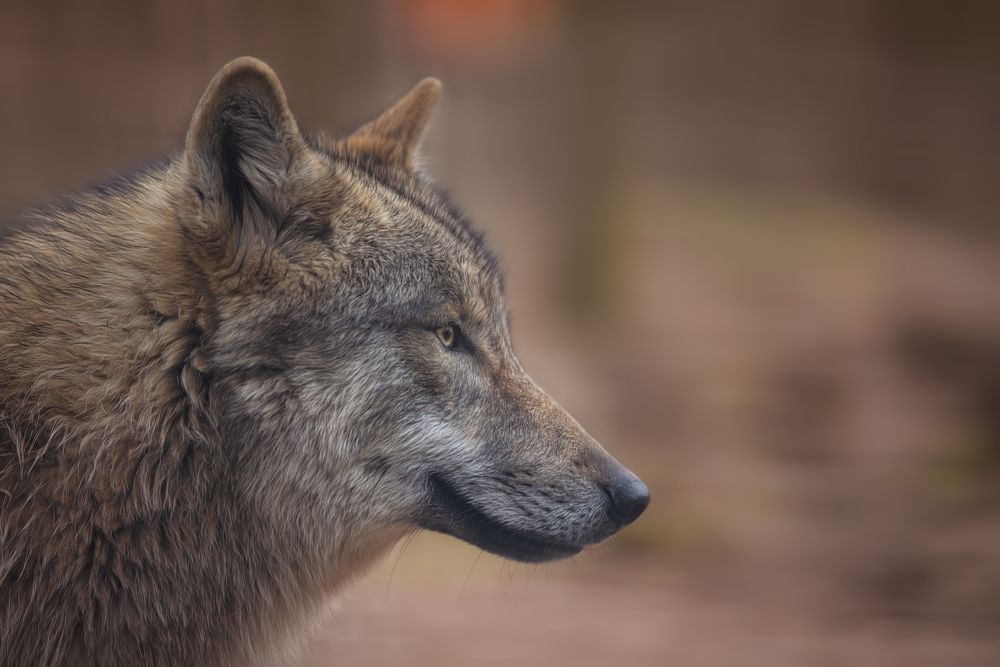 Photograph by Julia Carr