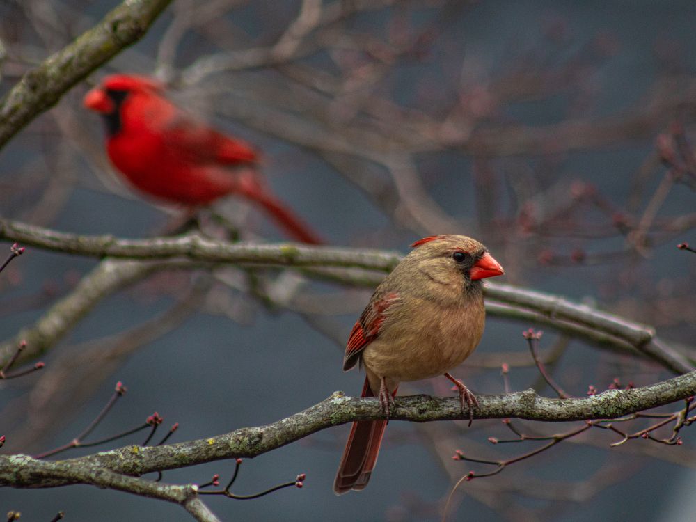 Photograph by Alisa Bryz-Gornia