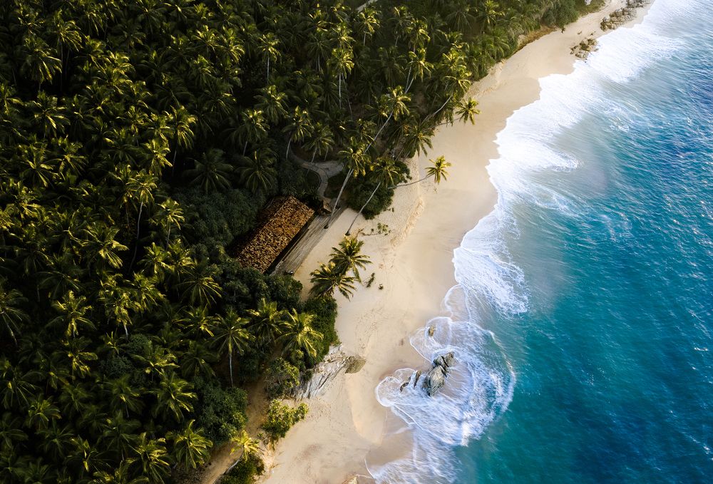 Фотография автора Amal Prasad