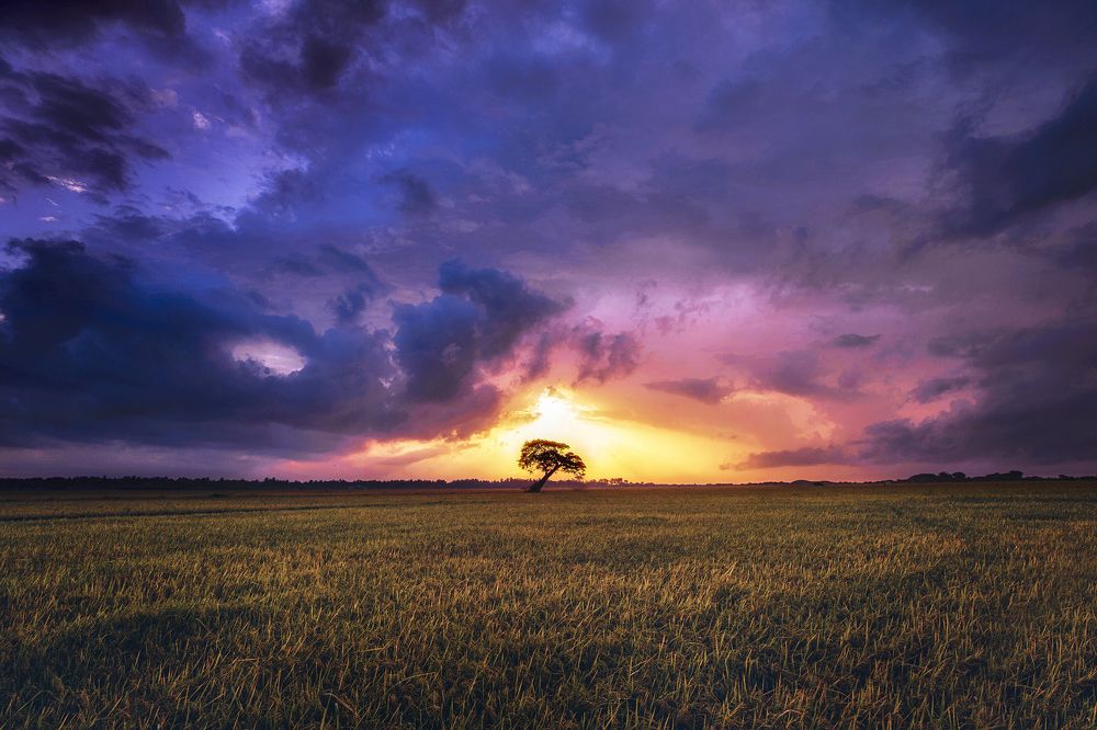 Фотография автора Amal Prasad