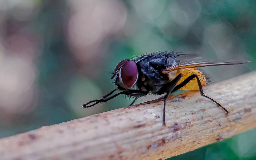 Photograph by Yash Sadawana