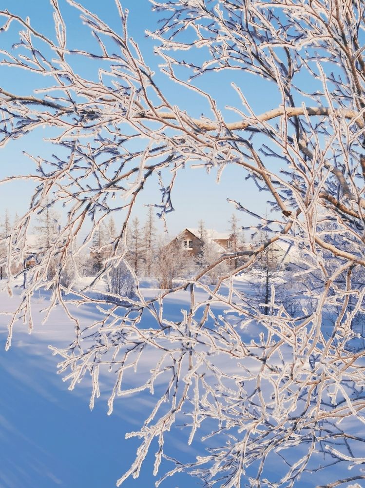 Photograph by Юлия Арестова