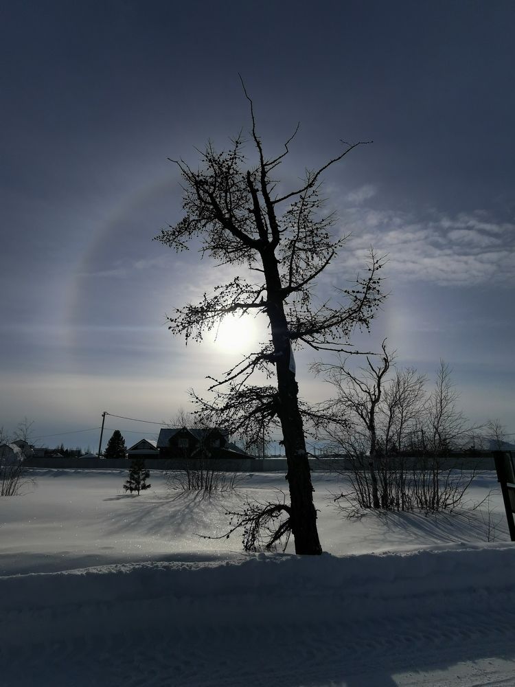 Photograph by Юлия Арестова