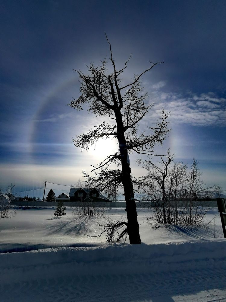 Photograph by Юлия Арестова