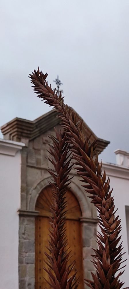 Natural and Human Structures