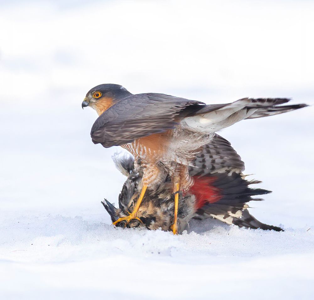 Photograph by Власов Егор
