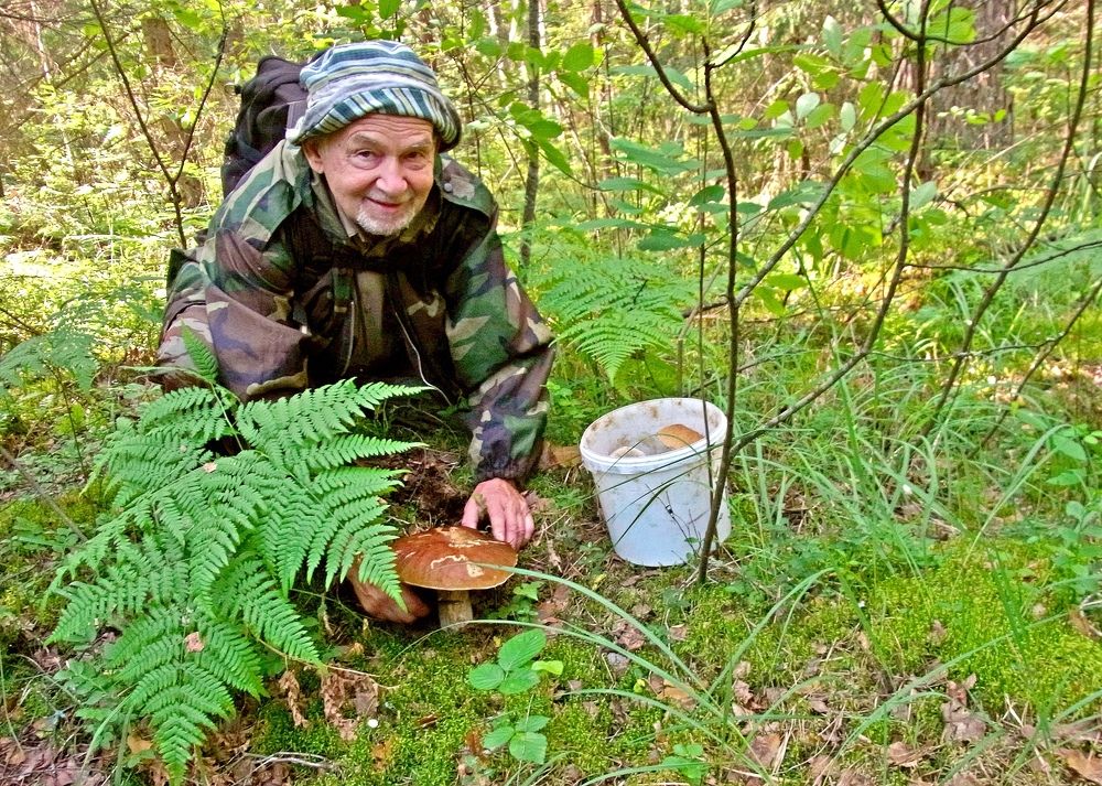 Photograph by леонид натапов