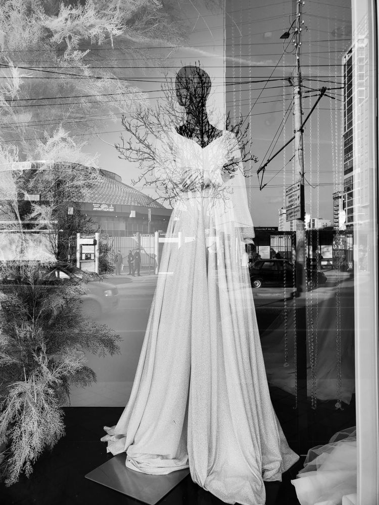 Photo #5988846