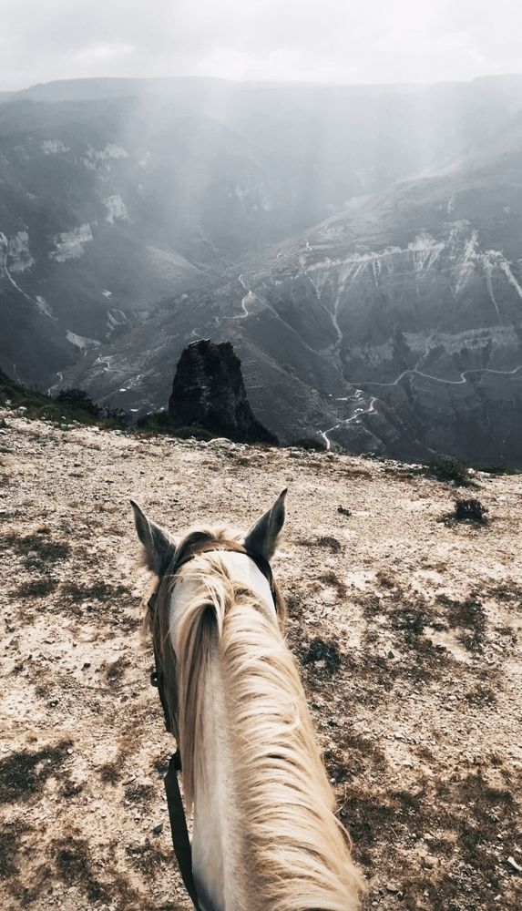 Фотография автора Андрей Морозов
