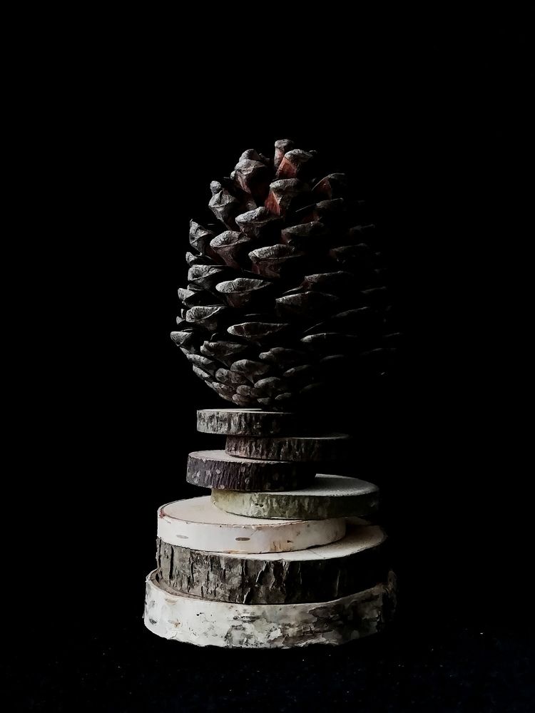 Шишка как артобъект