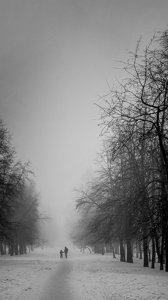 Photograph by Евгений Кривошеев