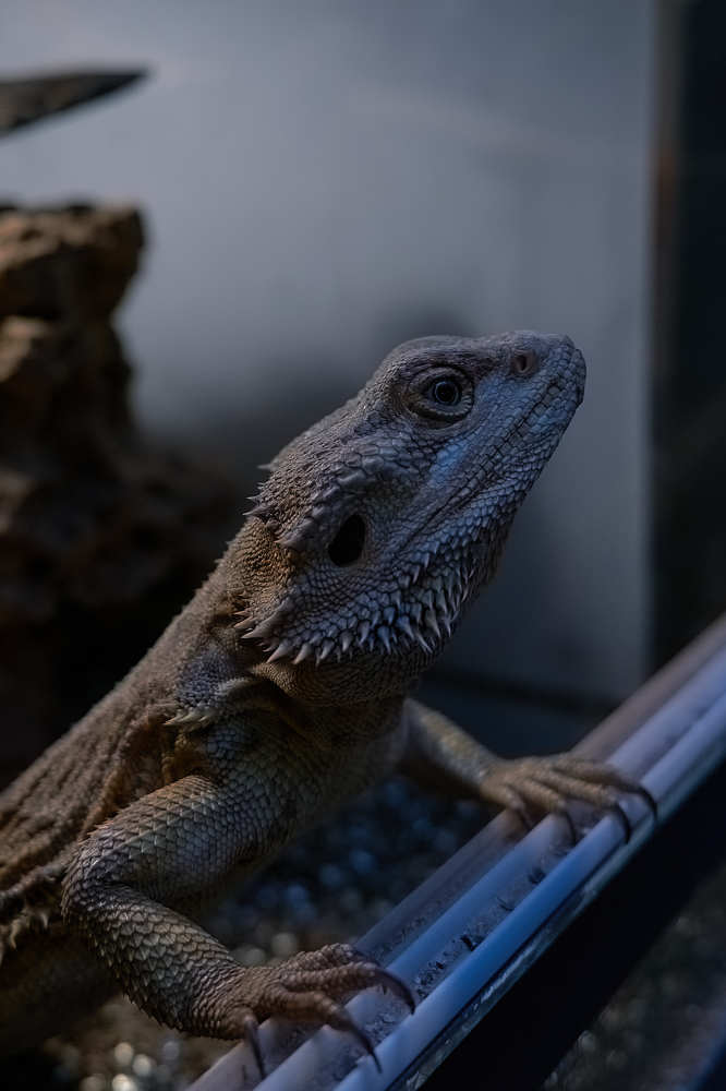 Photograph by Yuliya Khramova