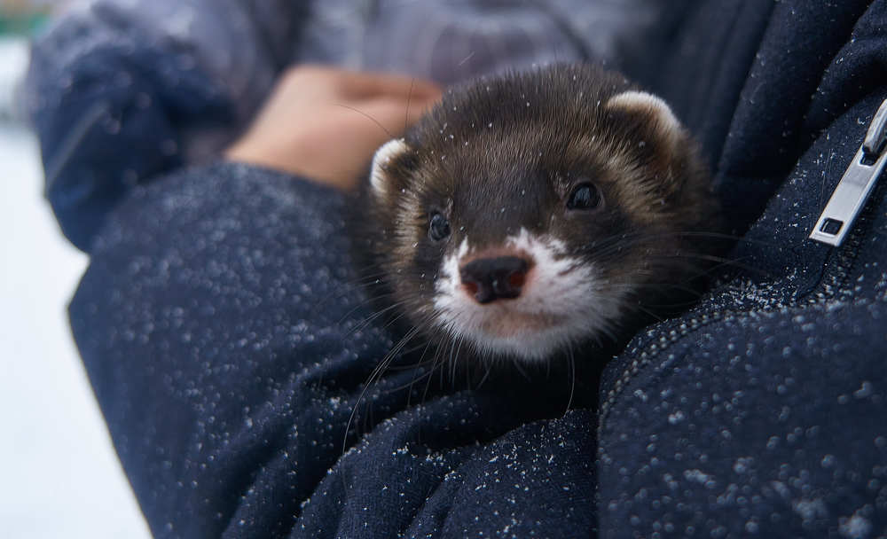 Photograph by Yuliya Khramova