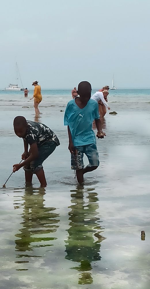 Фотография автора Татьяна Мазепова