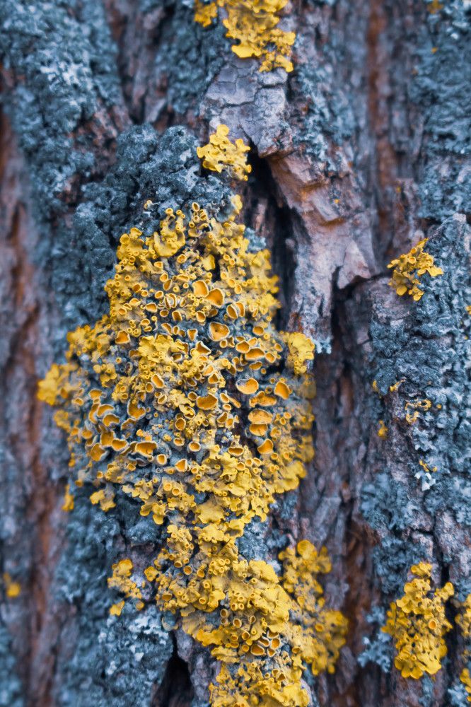 Photograph by Владимир Платонов