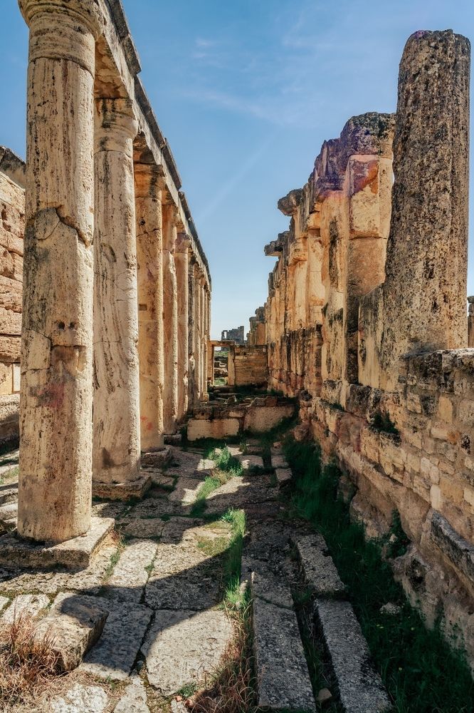 Photograph by Виталий Абдразаков