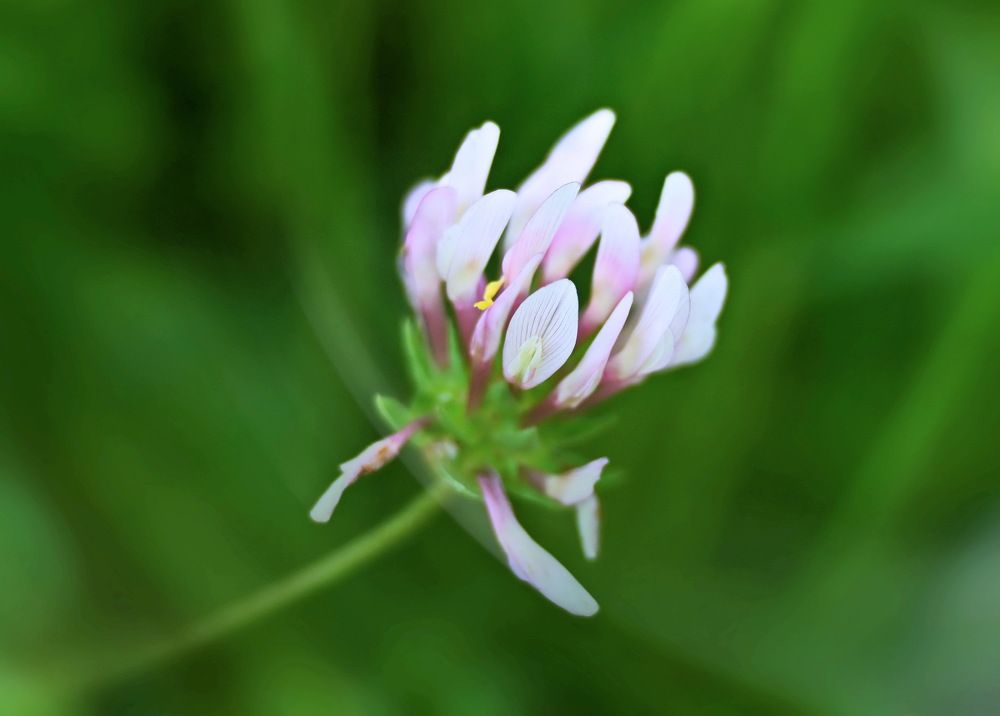 Photograph by Борис Ганцелевич