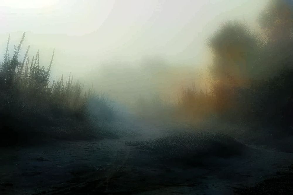 Летний утренний туман