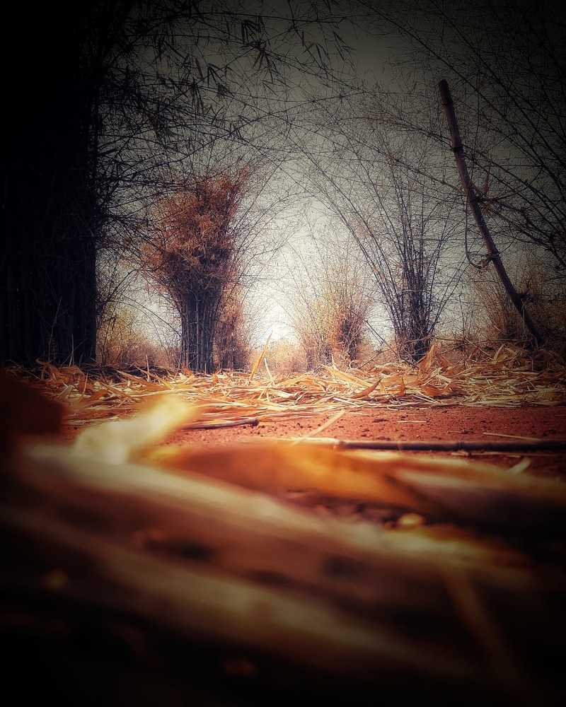 Photograph by Tushar