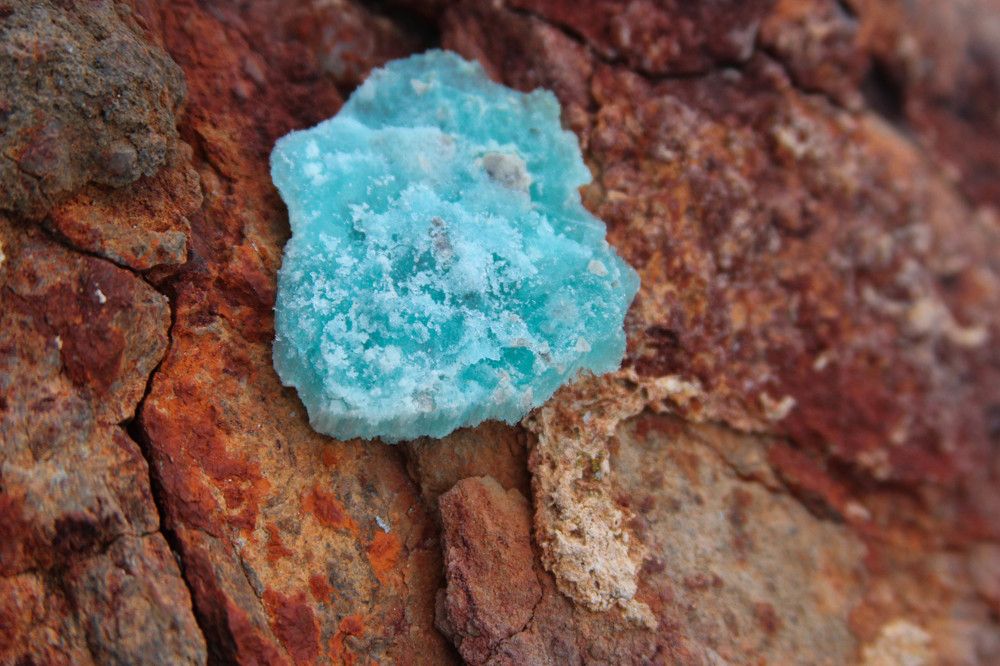 Photograph by Виктория Коваль