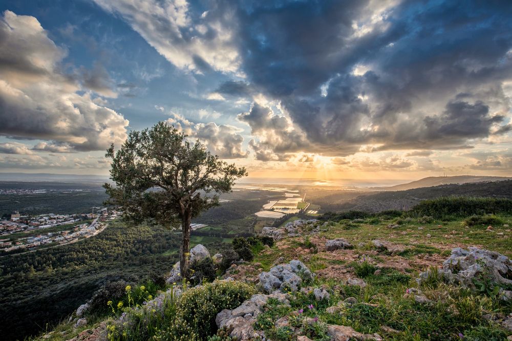 Фотография автора Dmitry Shterenberg