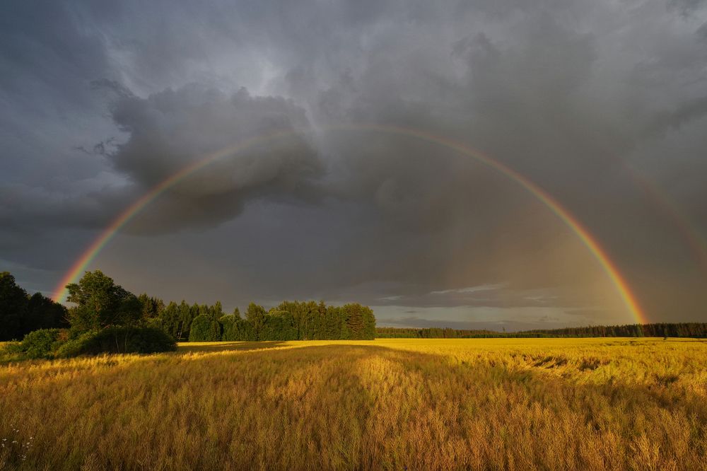Beautiful summer evening