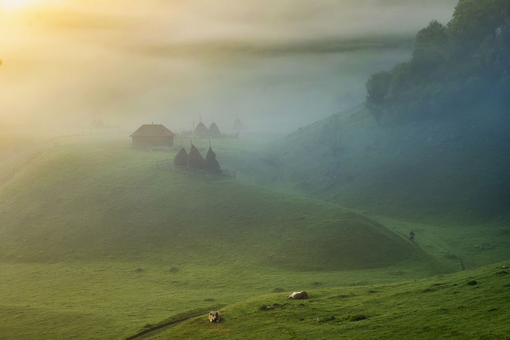 The silence of the morning