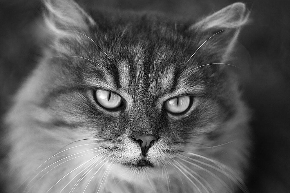 Photograph by Ольга Алексейчик