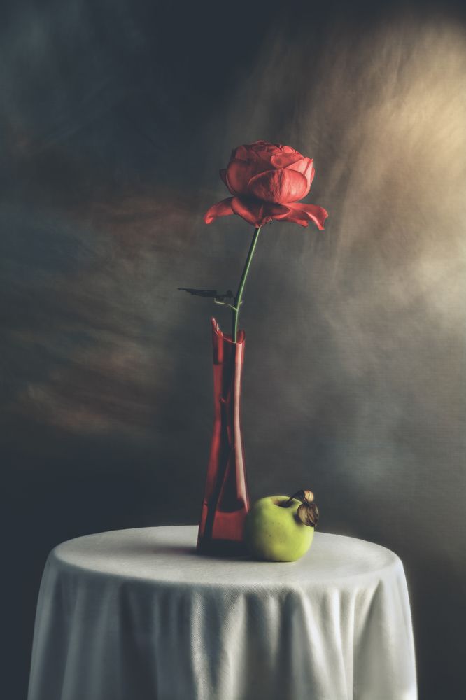 Photograph by Mohammed Oussama