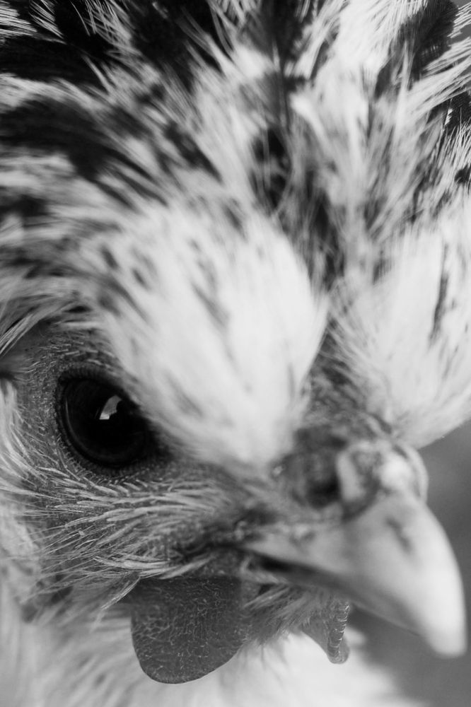 Photograph by Сергей Протопопов