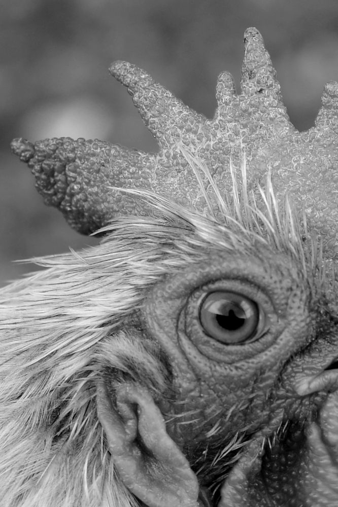 Photograph by Сергей Протопопов