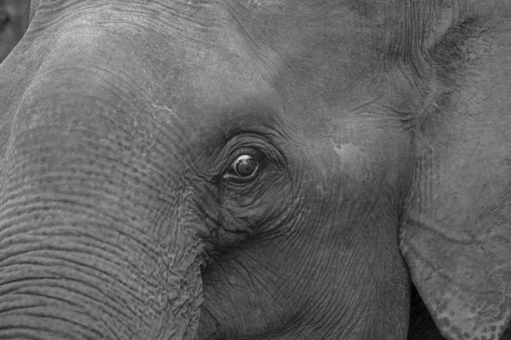 Photograph by Александр