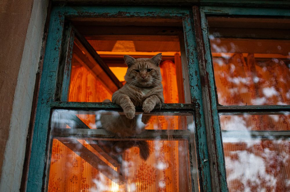 Photograph by Татьяна Зубехина