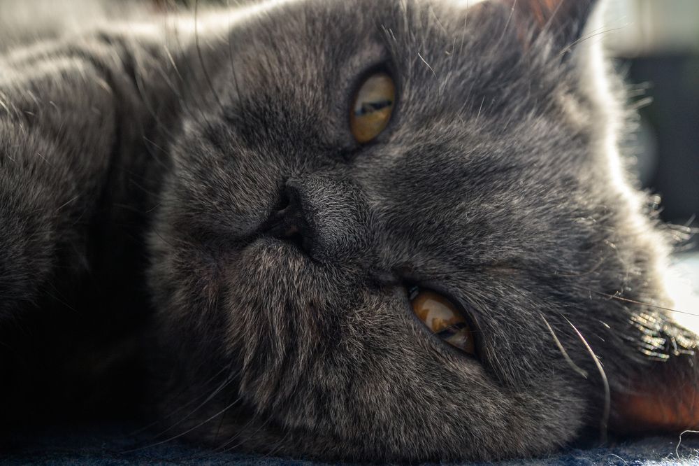 Photograph by Anton Nagel